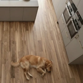 HDF ламинат FLOORFORT Walnut Tree «Орех Джорджтаун»