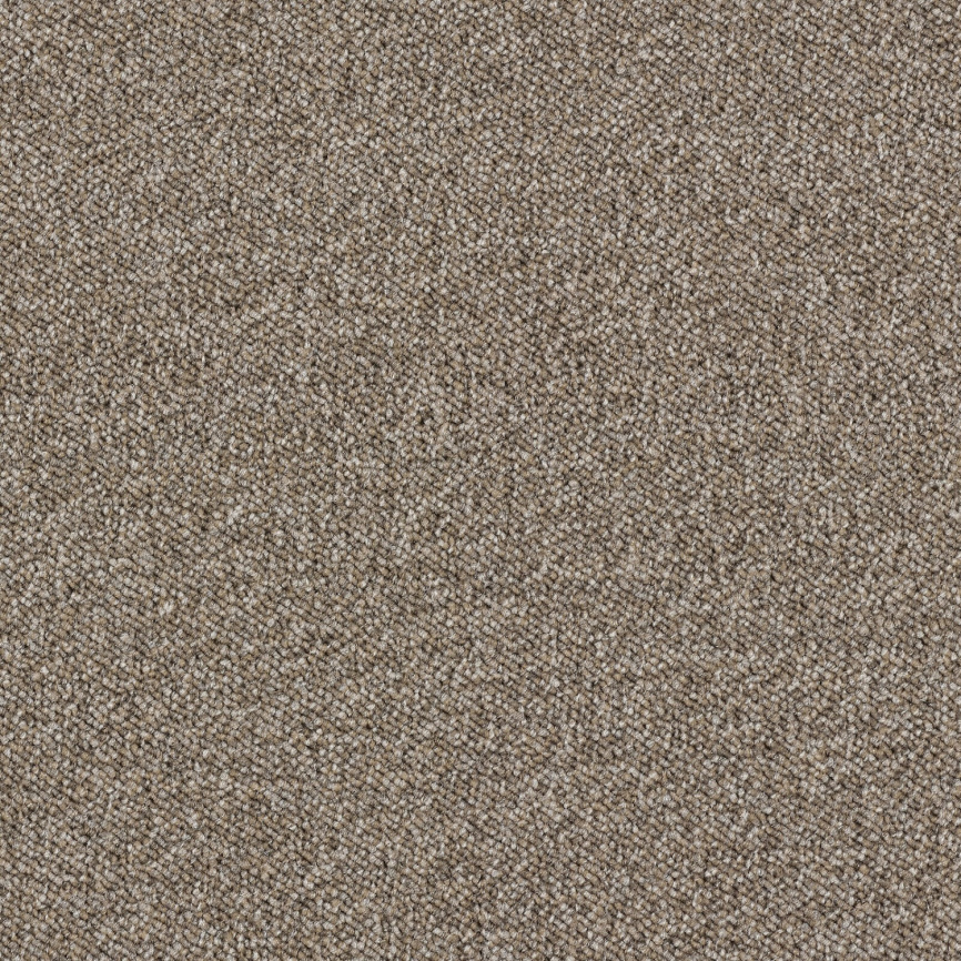 Ковролин AW Maxima 37 фото 3