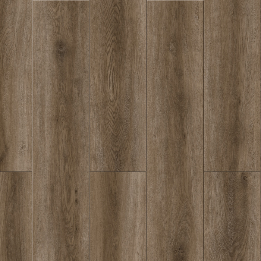 Ламинат ALPINE FLOOR Насыщенность Дуб Болонья фото 1